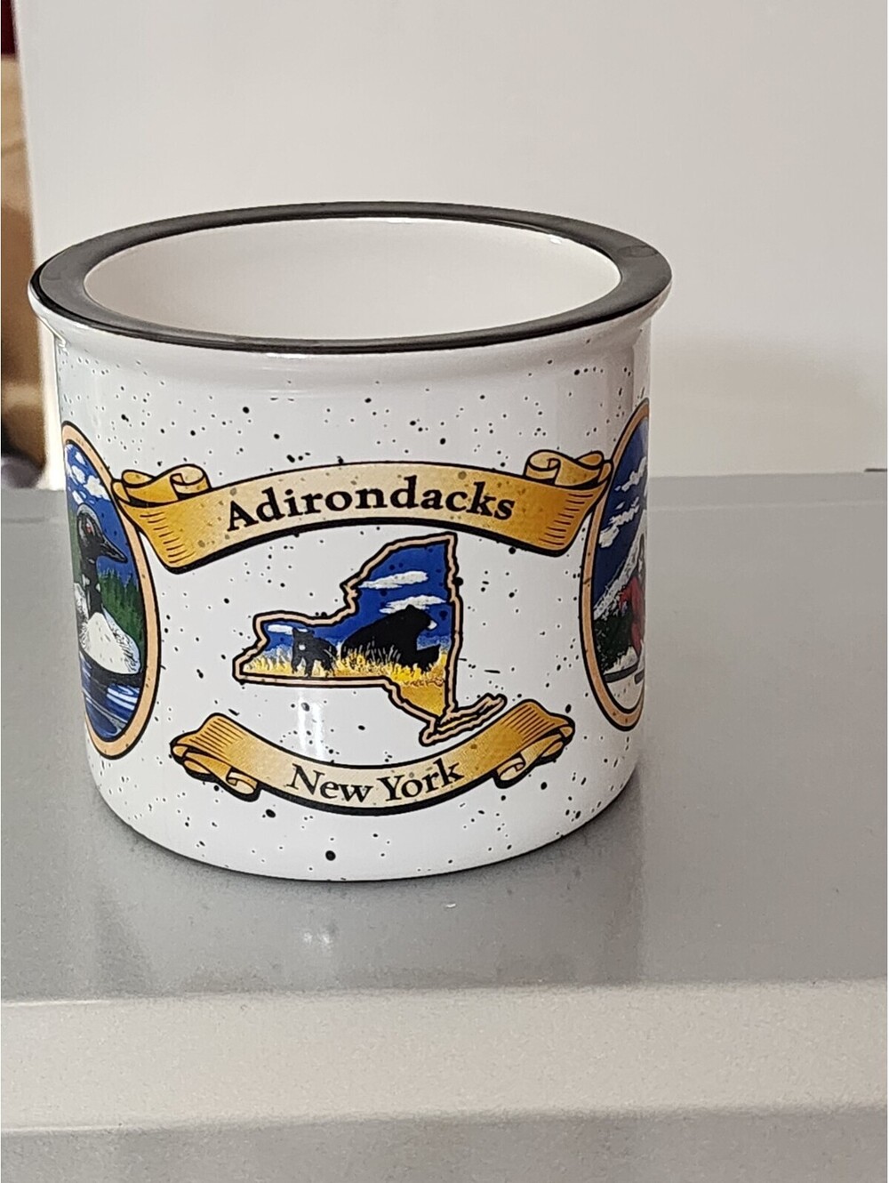 Adirondacks New York White Speckled Mug with Scenic Illustrations Souvenir